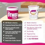 Quick 'n Brite Non-Toxic All-Purpose Cleaning Paste