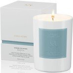 Non-Toxic Mount Fuji Scented Soy Candle 8.8oz
