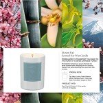 Non-Toxic Mount Fuji Scented Soy Candle 8.8oz