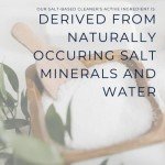 Morton Non-Toxic Kitchen & Counter Cleaner