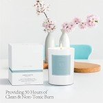 Non-Toxic Mount Fuji Scented Soy Candle 8.8oz