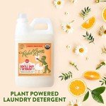 Rebel Green Organic Baby Laundry Detergent - 64 Loads