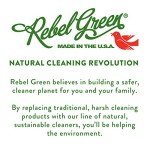 Rebel Green Organic Baby Laundry Detergent - 64 Loads