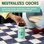 Aunt Fannie's Lavender Carpet Deodorizer Powder