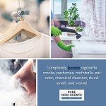 Non-Toxic Odor Eliminator - Coconut Shell Charcoal