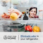 Non-Toxic Odor Eliminator - Coconut Shell Charcoal