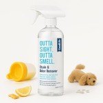 Natural Odor and Stain Remover Spray for Families