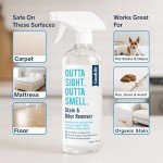 Natural Odor and Stain Remover Spray for Families