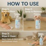 Natural Odor and Stain Remover Spray for Families