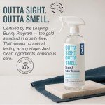 Natural Odor and Stain Remover Spray for Families