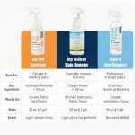Natural Odor and Stain Remover Spray for Families