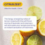 ATTITUDE Citrus Zest All-Purpose Cleaner Spray