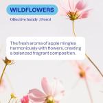 ATTITUDE Plant-Based Liquid Fabric Softener - Wildflowers