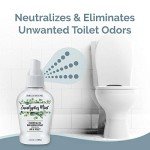 Eucalyptus Mint Non-Toxic Air Freshener Spray