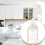 Non-Toxic Floor Cleaner Concentrate for Families
