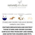 Non-Toxic Floor Cleaner Concentrate for Families