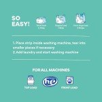 Tru Earth Fragrance-Free Eco Laundry Detergent Sheets