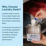 Nellie's Fragrance-Free Laundry Soda – 50 Loads