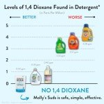 Molly's Suds Unscented Laundry Detergent Powder - 120 Loads