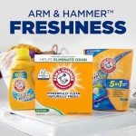 Arm & Hammer Non-Toxic Laundry Detergent Powder