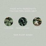Plant-Based Non-Toxic Air Freshener Spray - 2-Pack