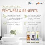Natural Air Freshener Spray - Essential Oils Variety Pack