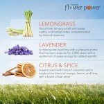 Natural Air Freshener Spray - Essential Oils Variety Pack