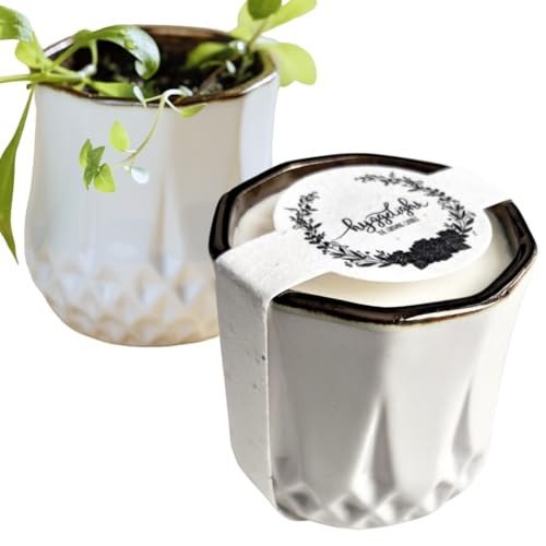 Natural Candles