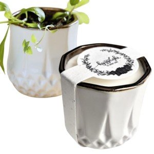 Non-Toxic Soy Candle: Sandalwood & Vanilla Scented