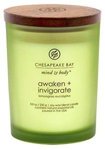 Lemongrass Eucalyptus Non-Toxic Scented Candle