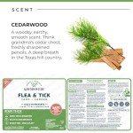 Non-Toxic Flea, Tick & Mosquito Yard Spray