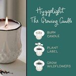 Non-Toxic Soy Candle: Sandalwood & Vanilla Scented