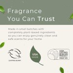 Plant-Based Non-Toxic Air Freshener Spray - 2-Pack