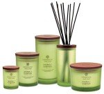 Lemongrass Eucalyptus Non-Toxic Scented Candle