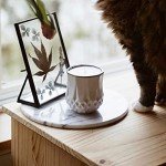 Non-Toxic Soy Candle: Sandalwood & Vanilla Scented