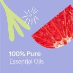 All-Natural Multi-Surface Cleaner Concentrate (2-Pack)