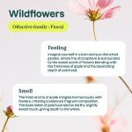 Plant-Based Liquid Fabric Softener Refill - Wildflowers