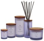 Chesapeake Bay Candle Serenity + Calm Lavender Thyme
