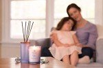 Chesapeake Bay Candle Serenity + Calm Lavender Thyme