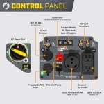 Champion 4000-Watt Dual Fuel Portable Inverter Generator