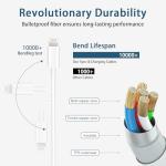 Fast 20W MFi iPhone Charger with 6Ft Cable