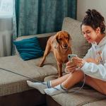 10ft Lightning Charger Cable 3-Pack for iPhone