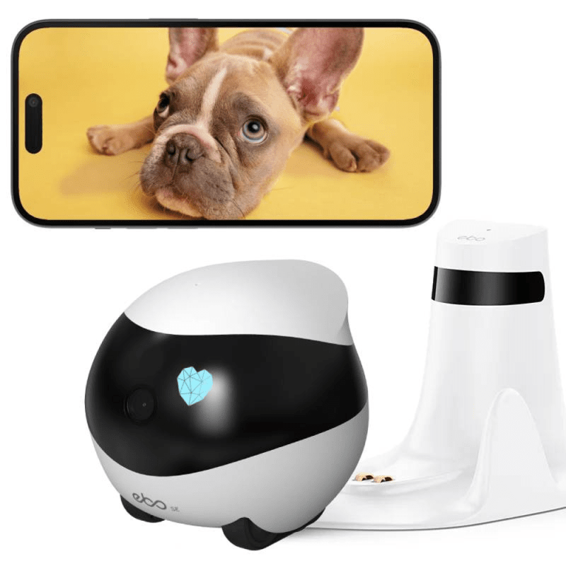 Pet Cameras