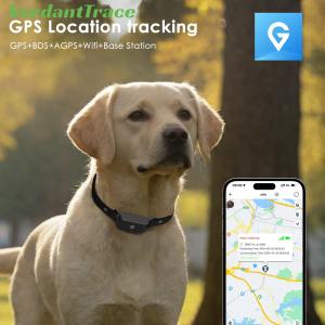 Waterproof 4G GPS Pet Tracker Collar for Dogs