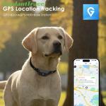 Waterproof 4G GPS Pet Tracker Collar for Dogs