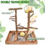 Natural Wood Bird Playground with Removable Tray and Cups