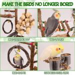Natural Wood Bird Playground with Removable Tray and Cups