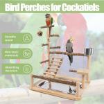 Wooden Cockatiel Bird Play Stand with Tray & Cups