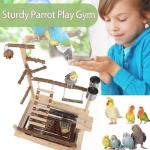 Wooden Cockatiel Bird Play Stand with Tray & Cups
