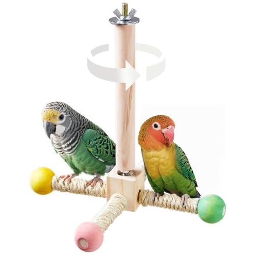 Interactive Bird Stand Perch Toy and Exercise Wheel